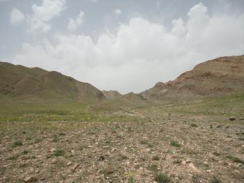 Field view from Iran where samples were collected for this study