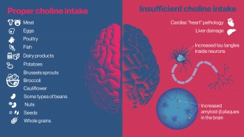 Diagram comparing and listing adequate and inappropriate choline intakes.