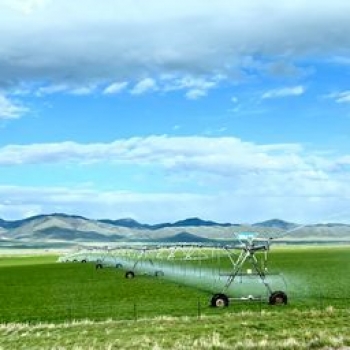 Green field being watered under cloudy blue skies with mountains in the background.