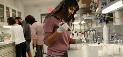 Grad students working in a biophysics lab.