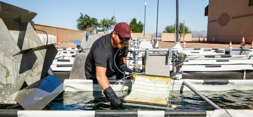 Researcher Everett Eustance inspects algae pool at wastewater facility.