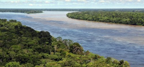 View of the Amazon rainforest and river