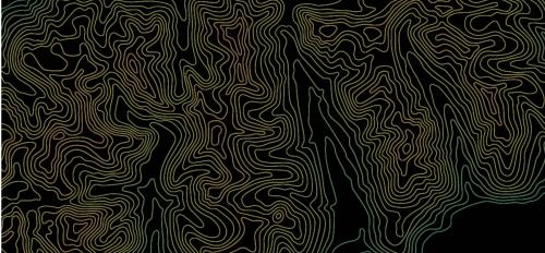 abstract topographical map