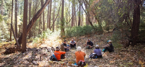 People sitting in the woods