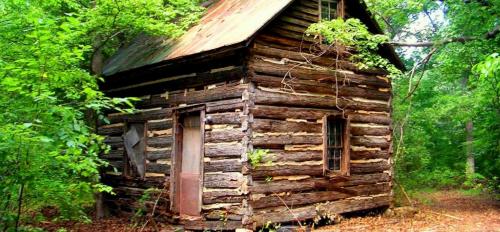 A log cabin in the woods