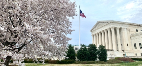 A shot of the front exterior of the U.S. Supreme Court Building in Washington, D.C., with a cherry blossom tree in the foreground.