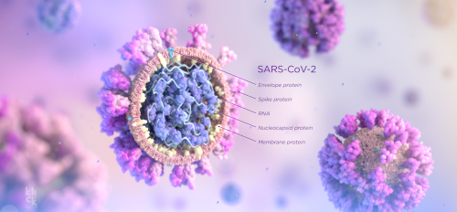 SARS-Cov-2 virus