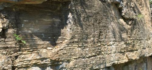 Terminal Ediacaran carbonate rocks in Three Gorges area (Hubei Province), People’s Republic of China