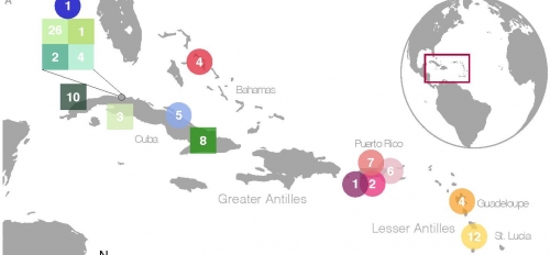 Figure Showing Caribbean Sites Discussed in the Research