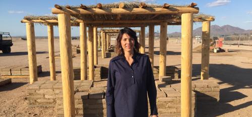 Herberger Institute Professor Wanda Dalla Costa in front of a shade structure she built in Gila River Indian Community.
