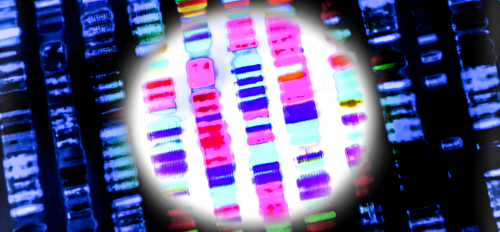 A team of researchers from ASU, Mayo Clinic and Mountain Park Health Center are collaborating to expand the application of genomic medicine