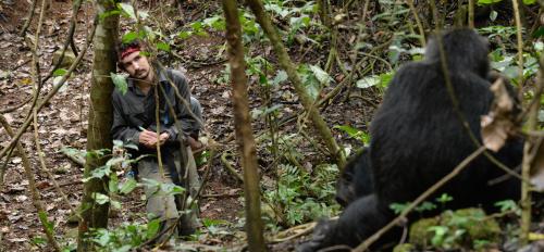 ASU graduate student Joel Bray observes chimpanzees in Tanzania.