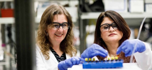 ASU researchers Rosa Krajmalnik-Brown and Heather Bimonte-Nelson wearing white coats, safety goggles and gloves as they handle test tubes in a lab. 