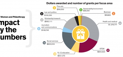 Pie chart showing the breakdown of grants by category