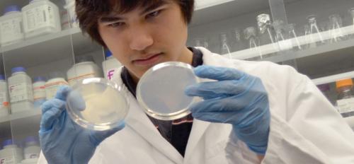 Ryan Muller in the lab preparing for the iGEM competition
