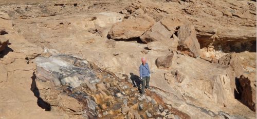 Man standing near a highly alkaline spring in Oman. The modern spring lies along massive deposits of calcium carbonate that formed from thousands of years of spring discharge. In the background are mountains comprised of ultramafic rocks.