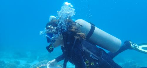 A woman scuba dives