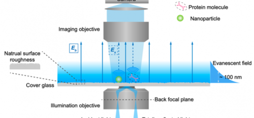 Graphic illustration of the experimental setup for performing evanescent scattering microscopy.