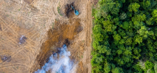 Aerial view of the Amazon rainforest, one half in good condition with green trees, and the other half has been cleared completely, leaving only dirt and smoke.