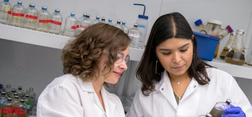 Anca Delgado and  Aide Rubles bioremediation researchers