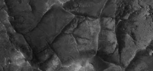 Close-up image of unusual ridge networks on the surface of Mars.