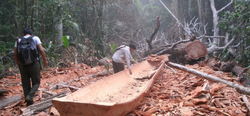 A Tsimané man carving a boat in a forest setting.