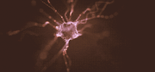 Illustration of a dopamine-producing neuron.