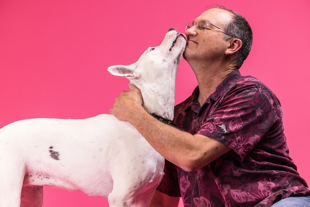 white dog licking man against pink background