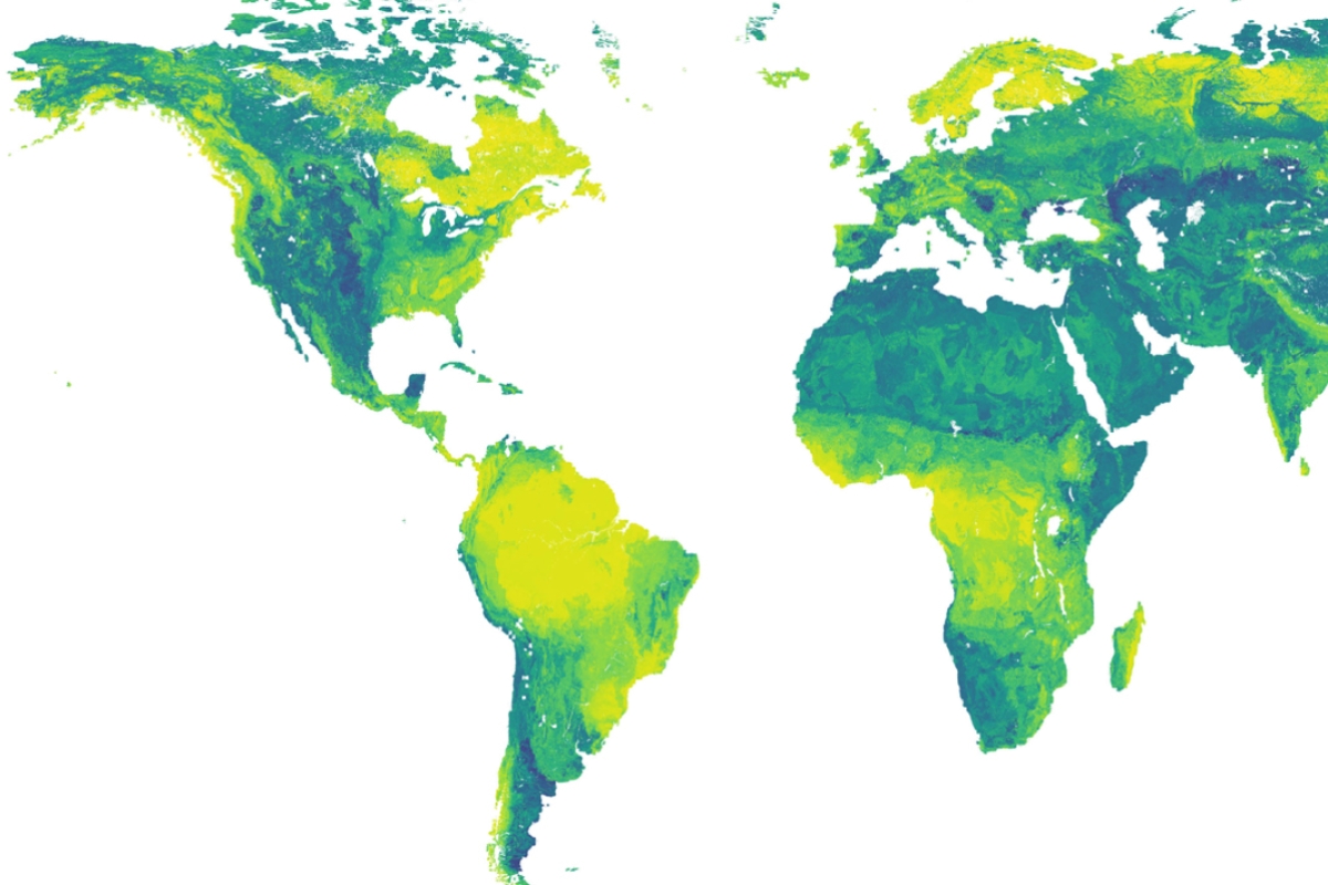 World map of local bicarbonate concentrations in aquatic environments
