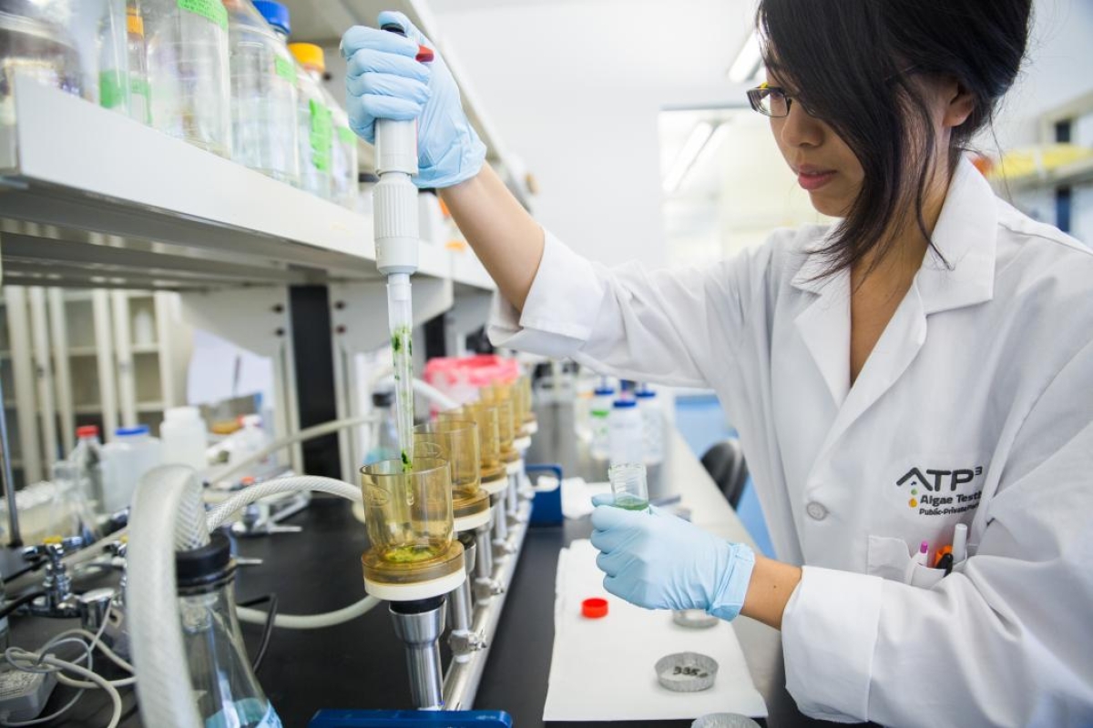 person in lab conducting algae research