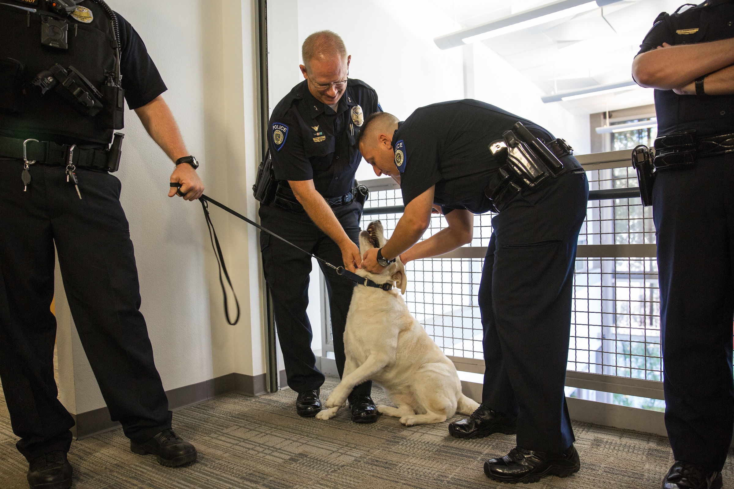 officers petting dog