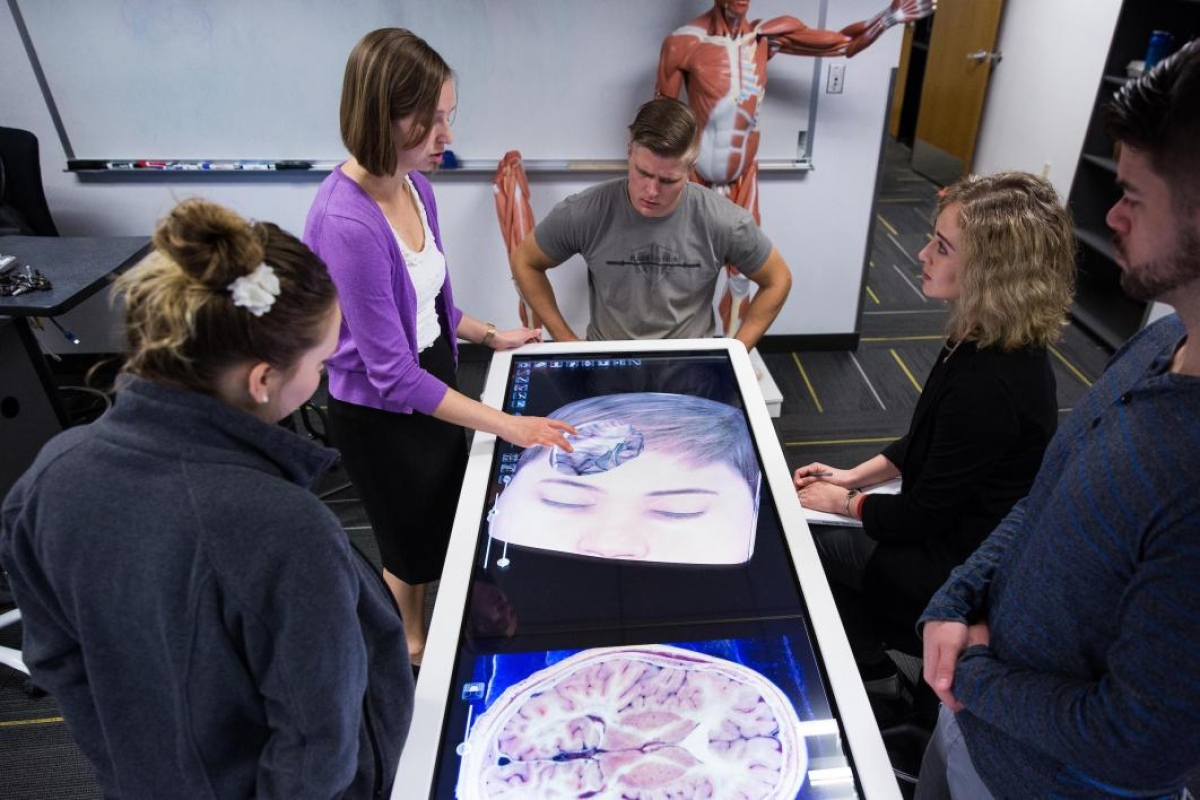 people examining digital cadavar