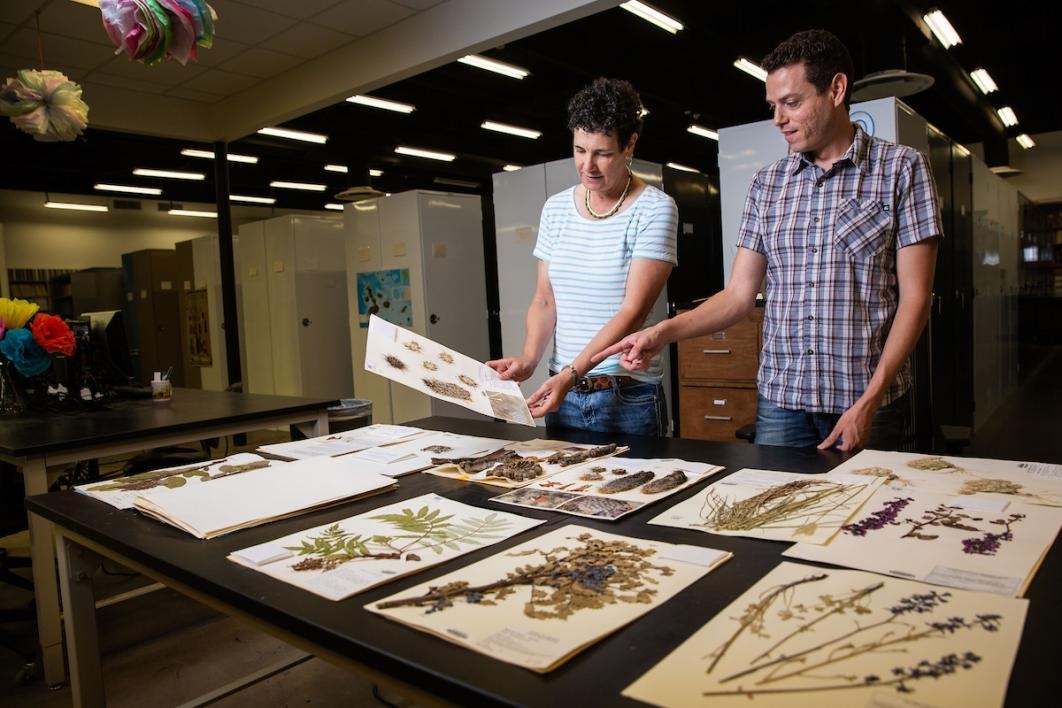 ASU Natural History Collections