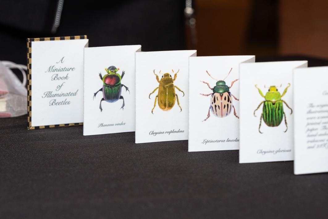 “A Miniature Book of Illuminated Beetles,” Second Printing 2012 by Kelly Houle / Photo by Deanna Dent/ASU Now