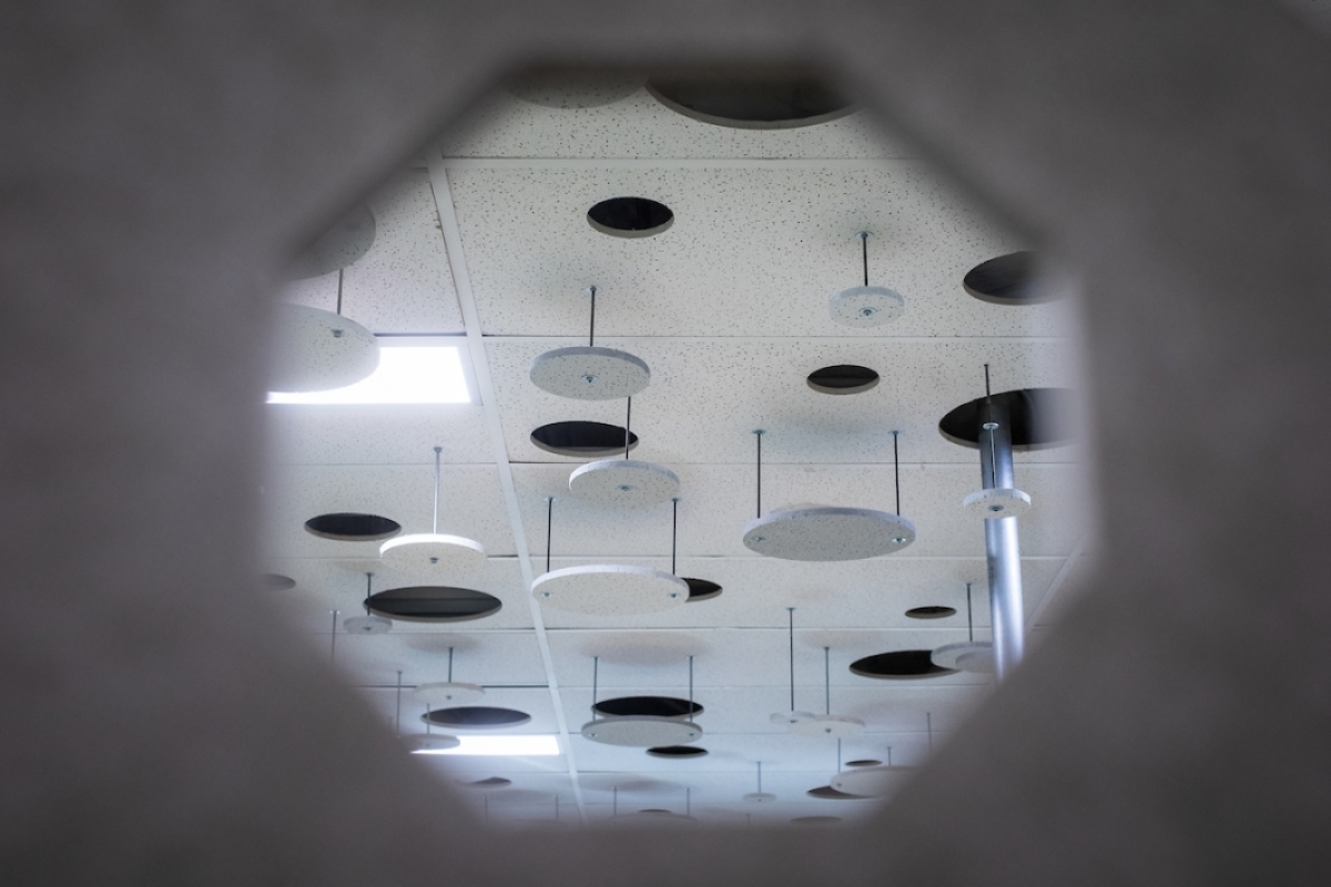 Unique ceiling at Biomimicry Center 
