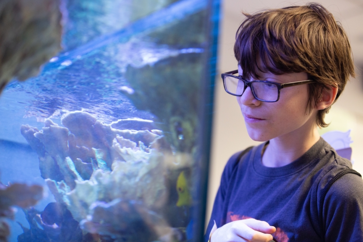 boy wearing glasses looks at an illuminated fish tank