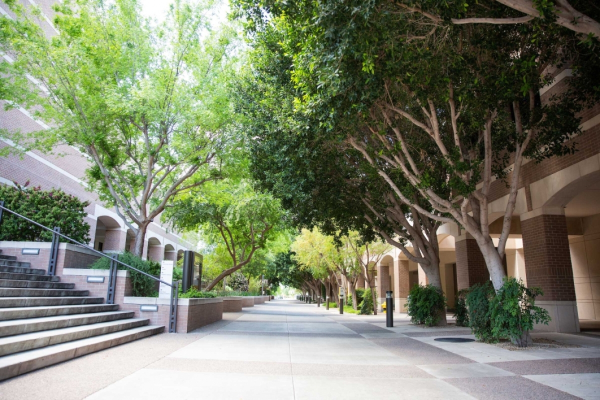 A courtyard on the ASU West campus full of trees