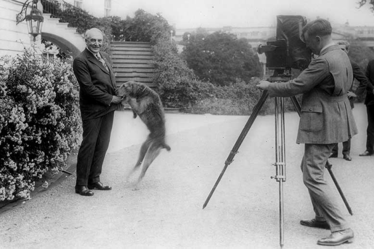 Black and white photo of President Warren Harding and his Airedale terrier Laddie Boy