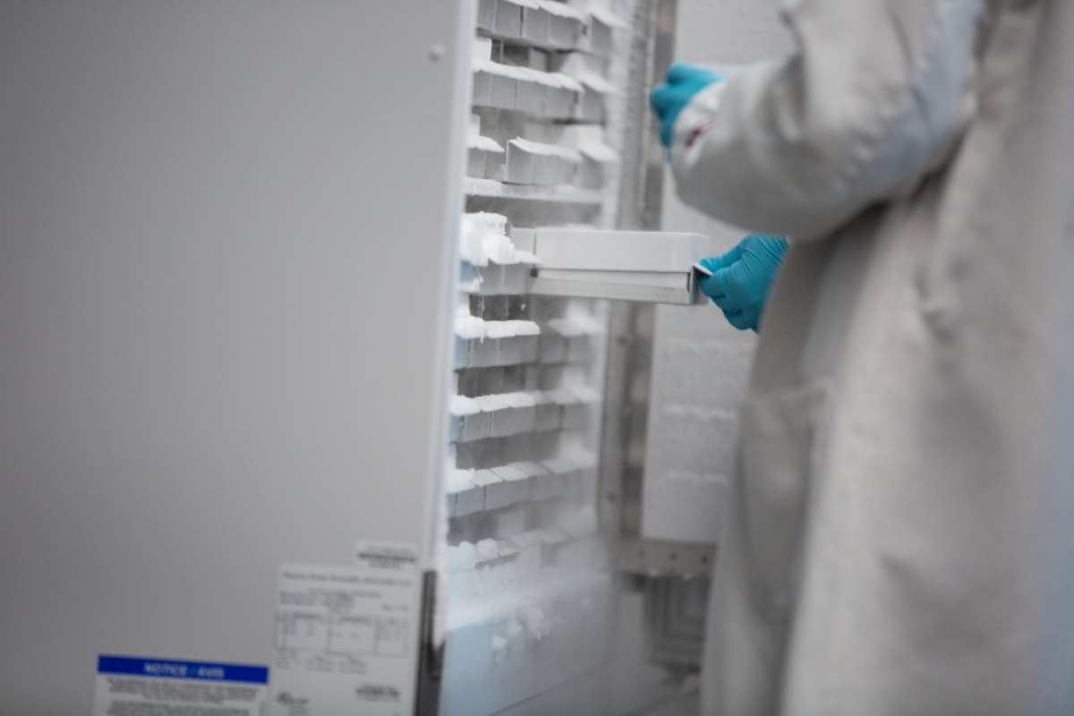 Researchers pull samples out of a deep freezer