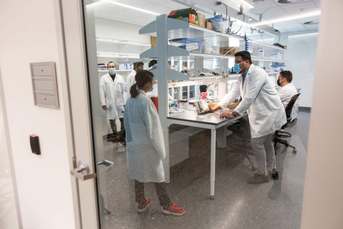 Researchers in lab coats work in a lab