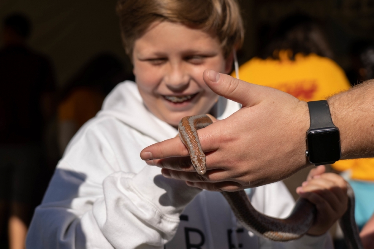 A boy grins as he watches someone hold a snake
