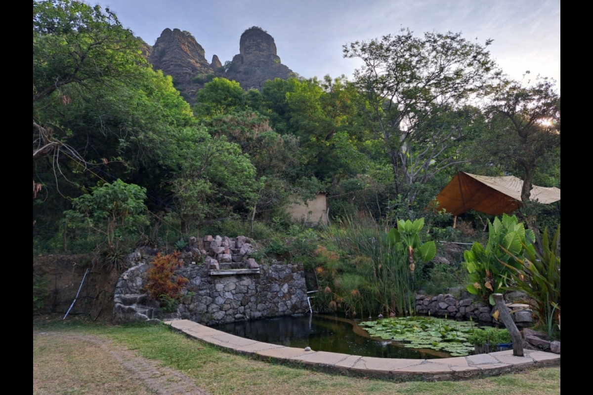 Outdoor scene with a pond in the foreground and a mountain in the background.