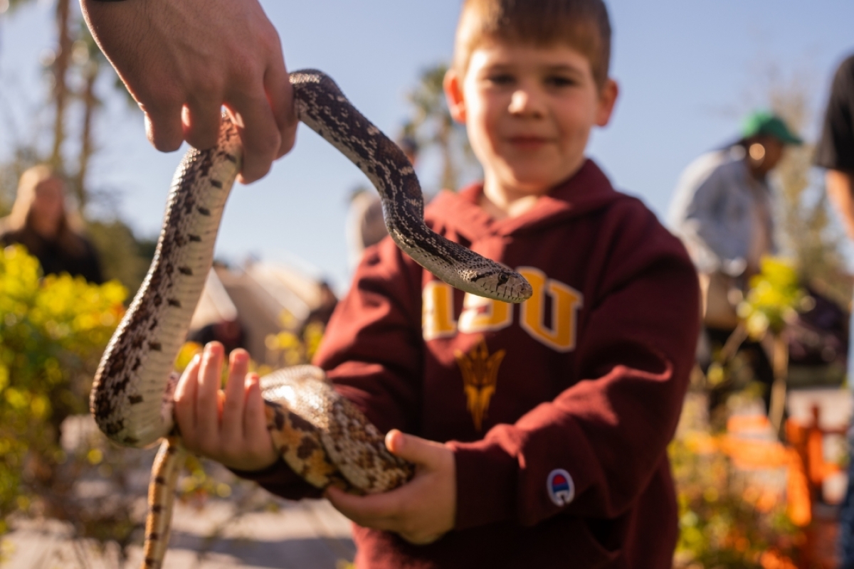 Young boy handling snake