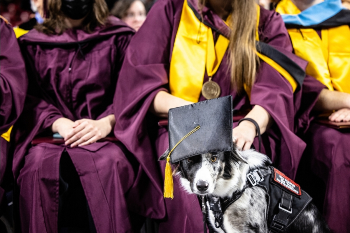 A service dog in a graduation cap sits in front of a row of graduates