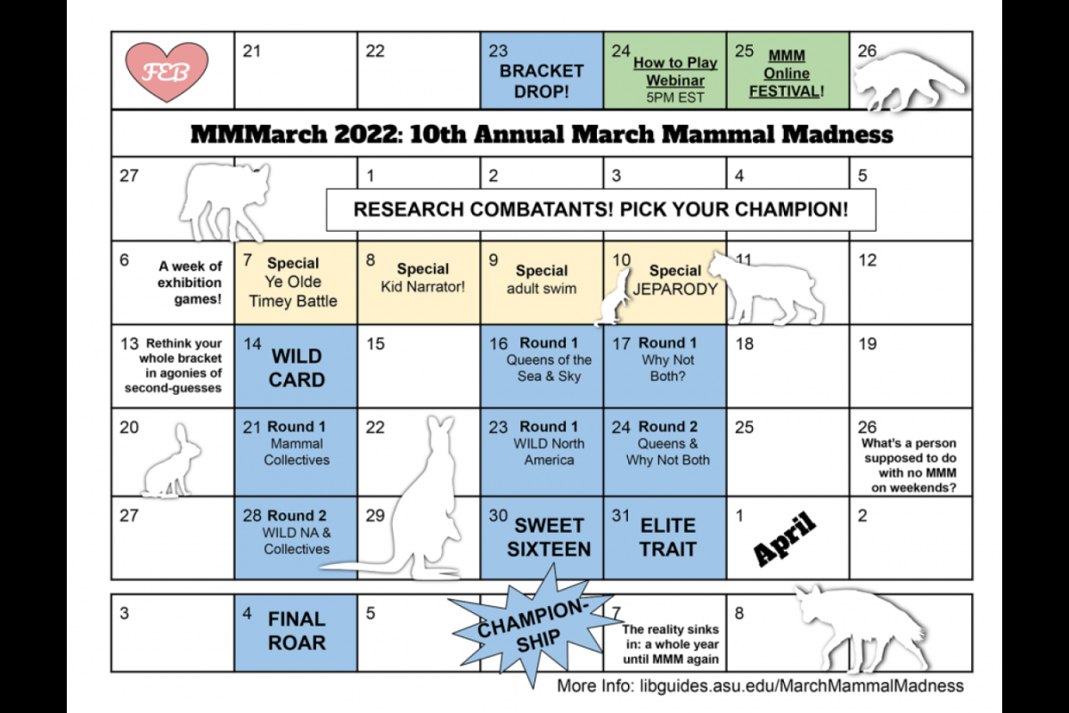 Suny Oswego Fall 2022 Calendar A Look Inside The 10Th Annual March Mammal Madness Tournament | Asu News