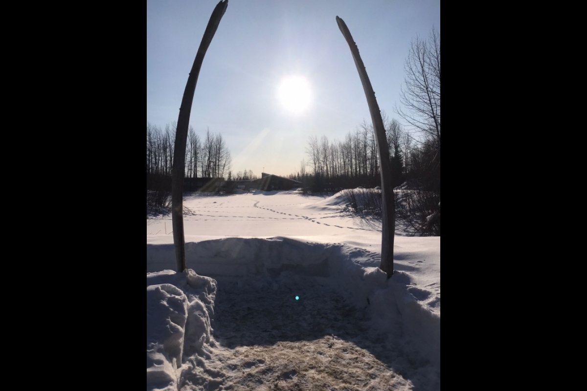 Whale bones creating an arch in the Alaskan landscape