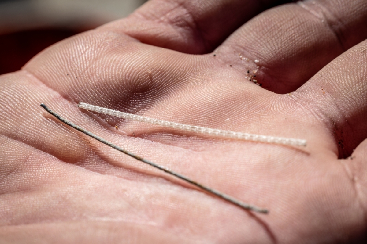 A closeup of a palm holding two short lengths of steel and polypropylene fibers 