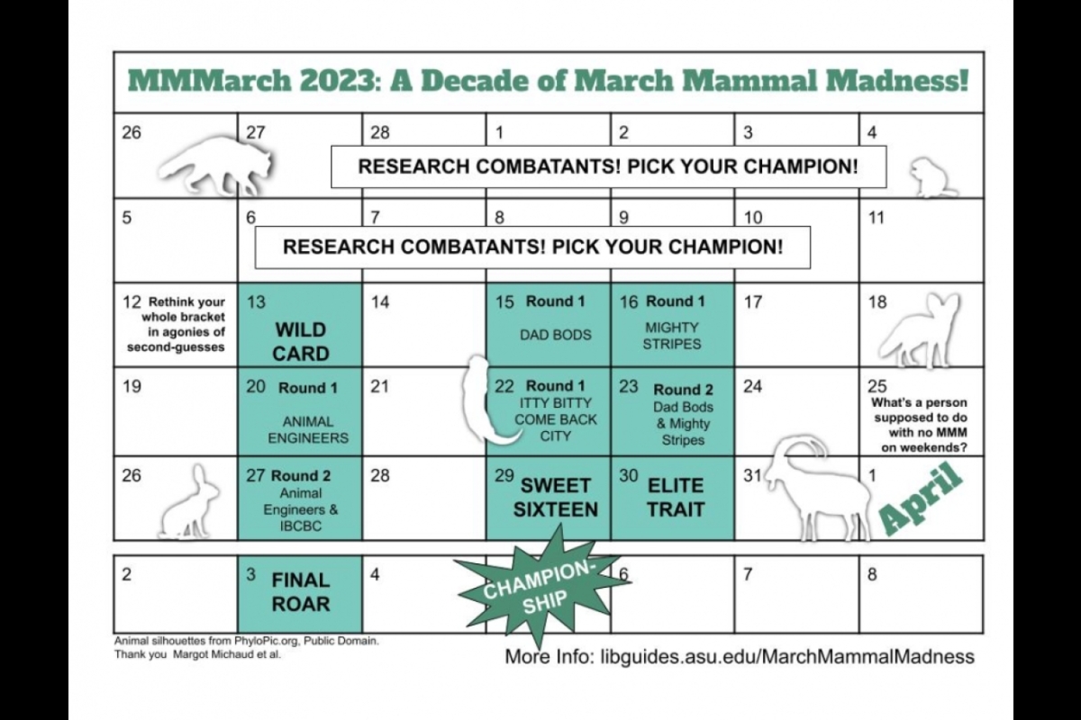 2023 March Mammal Madness Tournament Schedule