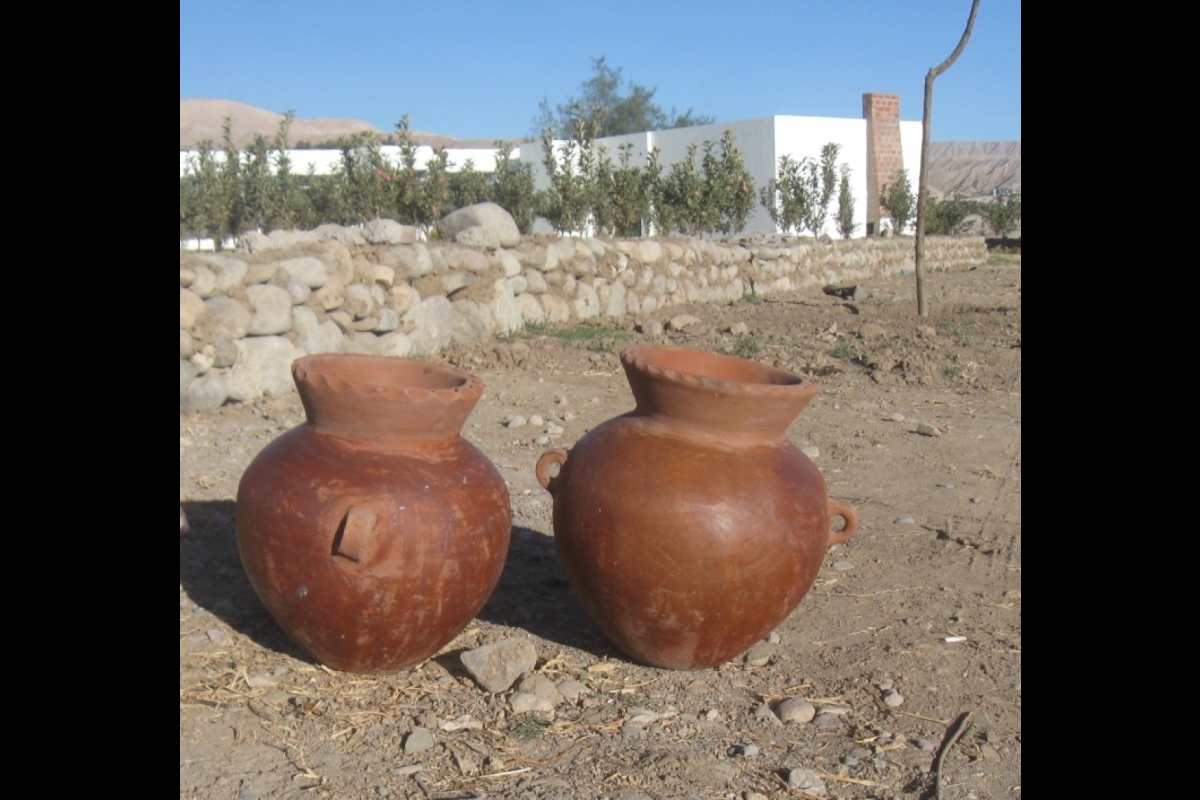 Ancient fermentation jars sitting in the dirt.