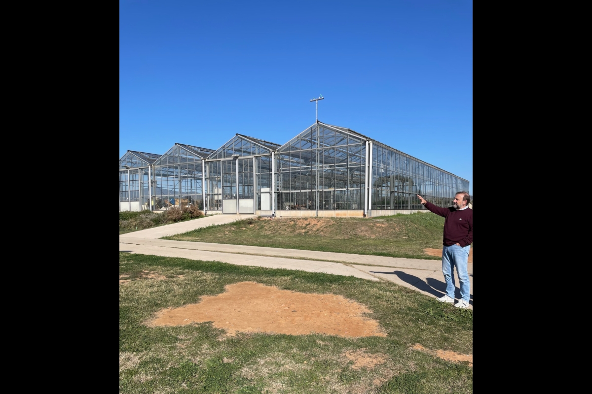 UPC Professor Emilio Gil stands pointing next to Agrotopia greenhouses 